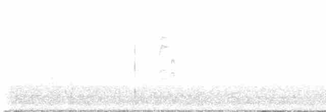 Paruline à calotte noire - ML619597149