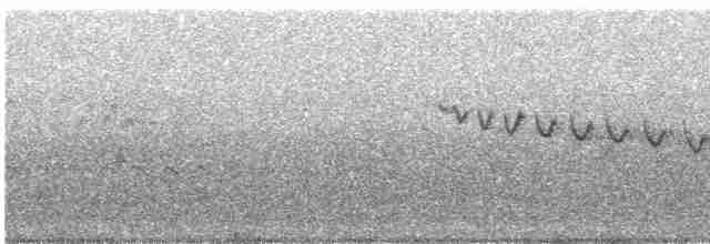 Каньонный крапивник - ML619597156