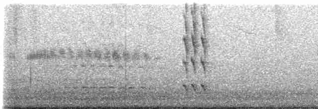 Kara Boğazlı Kolibri - ML619597237