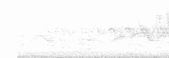Дрізд-короткодзьоб бурий - ML619597493