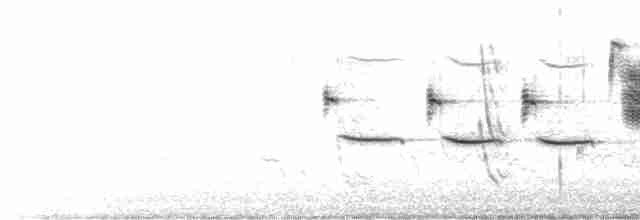 גיבתונית רוננת - ML619598170