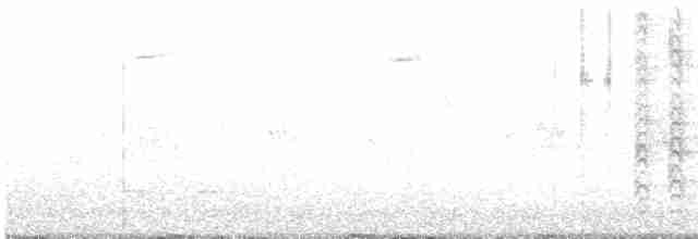 Яструб чорноголовий - ML619598269