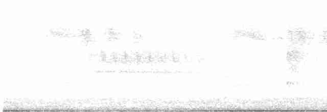 Дятел-смоктун червоноголовий - ML619598539
