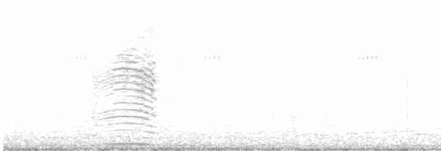 Австралийская султанка - ML619598555
