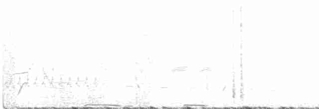 Gallo de las Praderas Rabudo - ML619598650
