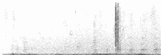 Серый гусь (Одомашненного типа) - ML619598680
