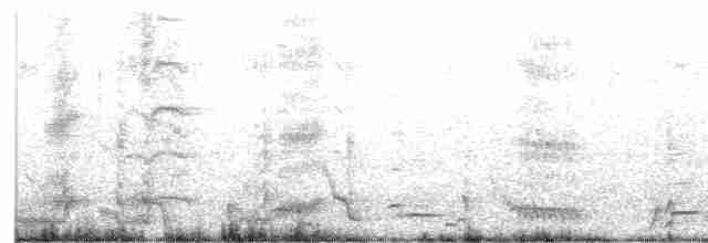 Avustralya Saksağanı - ML619599751