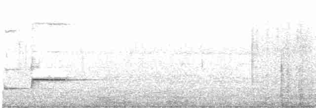 rosela pestrá - ML619600129