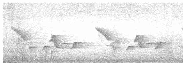 Серогрудый крапивник - ML619600240