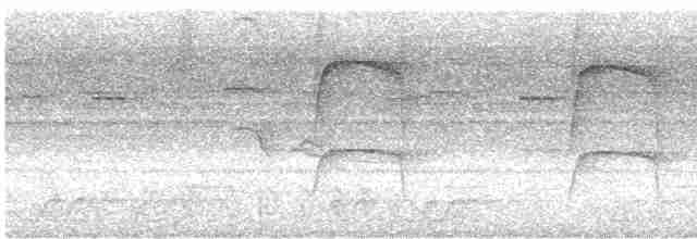 Сероголовый мухоед - ML619600283