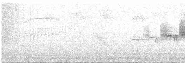 Black-throated Gray Warbler - ML619600425