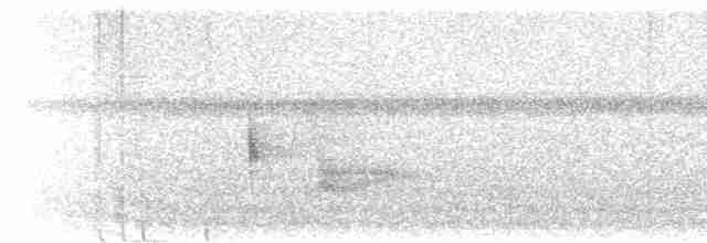 Чернокрылая пиранга - ML619600548