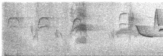 Длиннохвостый крапивник - ML619600623