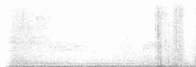 Kara Kanatlı Piranga - ML619600856