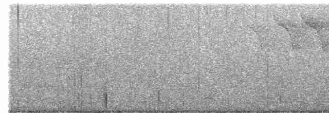 Cerulean Warbler - ML619601092