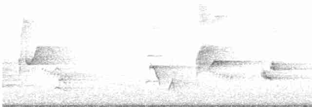 drozdec černohlavý - ML619601137
