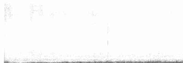 Черноголовый толстонос - ML619601190