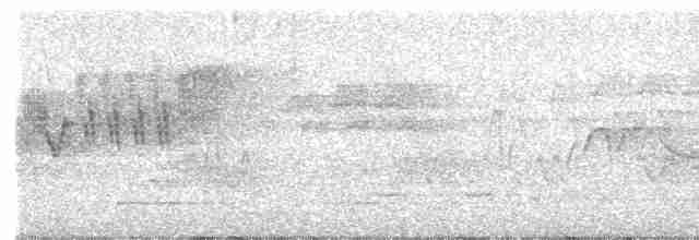 Cerulean Warbler - ML619601709