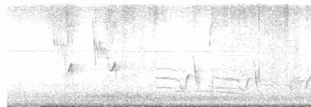 Rotspottdrossel - ML619602402
