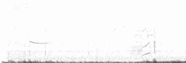 Hirondelle à front blanc - ML619602477