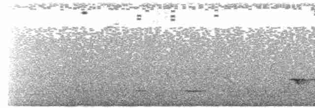 Серогрудый питуи - ML619602937