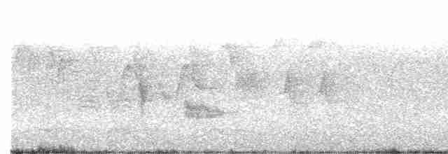 Чернокрылая пиранга - ML619603019