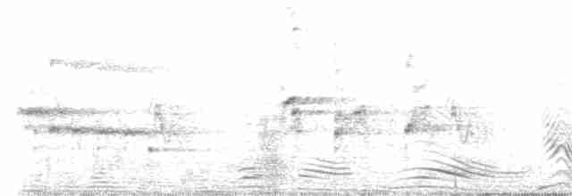 Белоголовый орлан - ML619603706