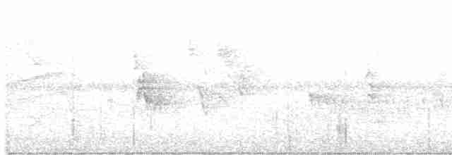 Черногорлая малая овсянка - ML619604066