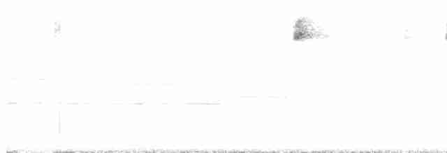 Canada Warbler - ML619604571