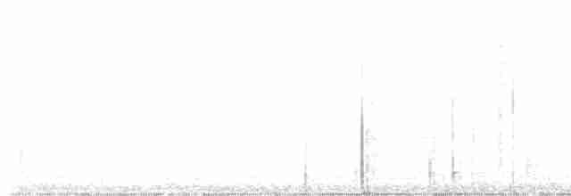 Münzevi Bülbül Ardıcı - ML619604845