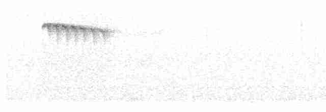 Kara Gerdanlı Uzunkuyruk [concinnus grubu] - ML619605331