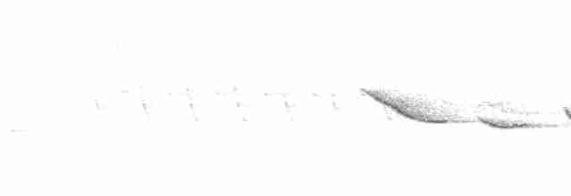 Papamoscas Vívido (vivida) - ML619605336