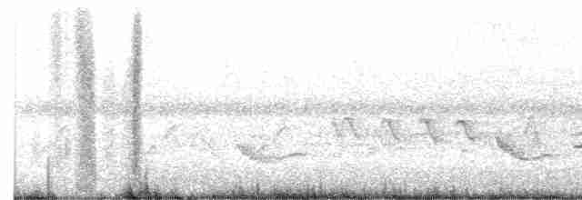 Kızılağaç Sinekkapanı - ML619605382