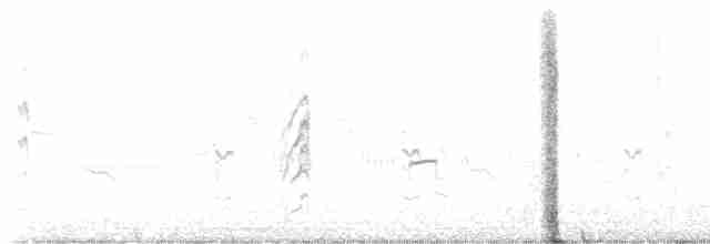 小燕鷗 - ML619605399