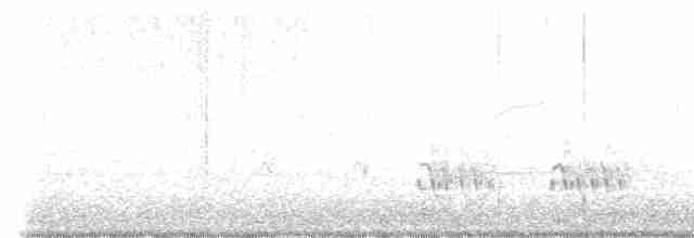 Кактусовый дятел - ML619606170