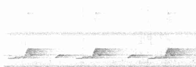 Schwarzkehl-Nachtschwalbe - ML619606345