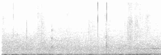 Austral-Schlangenhalsvogel - ML619606376