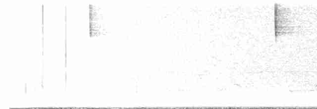 brunkroneparula (rufifrons gr.) - ML619606675