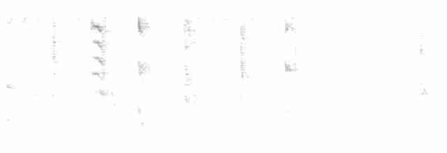 Новозеландская веерохвостка - ML619606839
