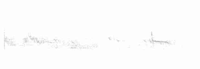 Graumantel-Brillenvogel - ML619606843