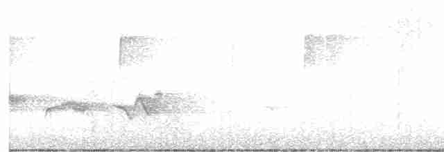 Чернокрылая пиранга - ML619608001