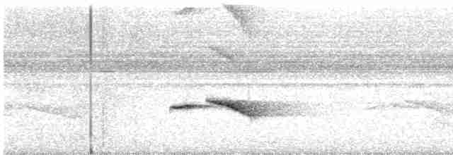 Пятнистогрудая тимелия-говорушка - ML619608035