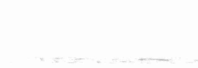 Avustralya Saksağanı - ML619608135