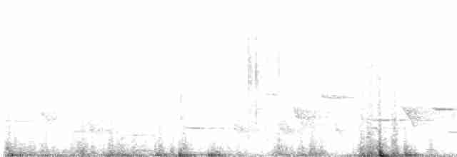 Méliphage carillonneur - ML619608170