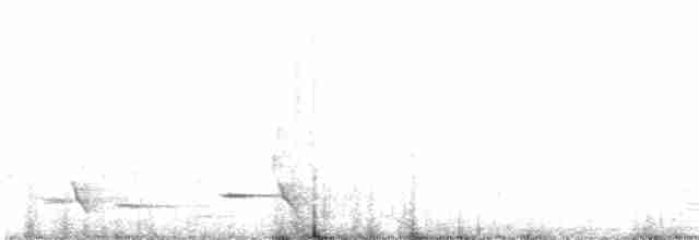 Méliphage carillonneur - ML619608171