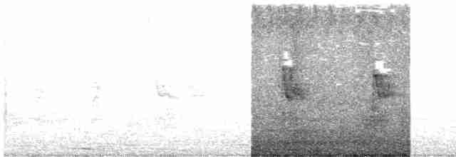 Окулярник сивоспинний - ML619608204