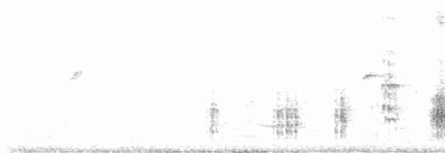 Great Reed Warbler - ML619608358
