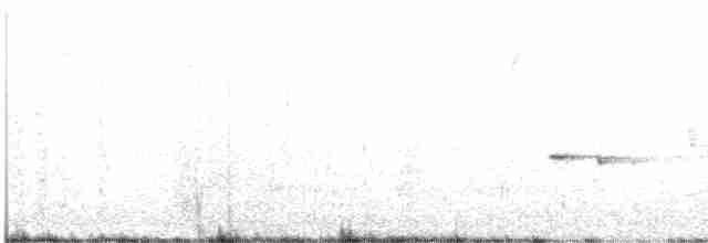Fleckenpanthervogel - ML619608452