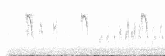 棕扇尾鶯 - ML619608621