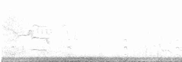 西方秧雞 - ML619608637